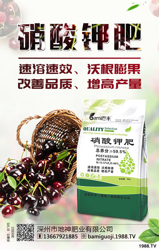 �t������r�g��ʲô�r�򣿼t�����緽������Щ��