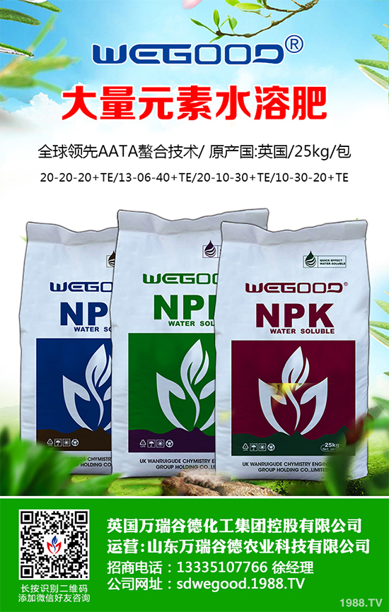 ¶������ʲô�r(sh��)��Nֲ��¶�������߮a(ch��n)�Nֲ���g(sh��)