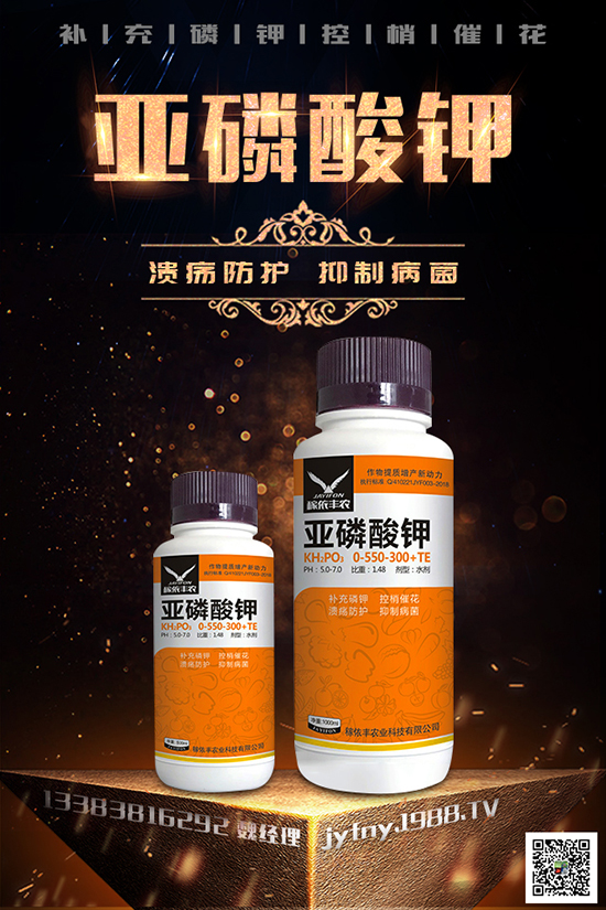 2020種黑番茄賺錢嗎？黑番茄的種植方法有哪些？