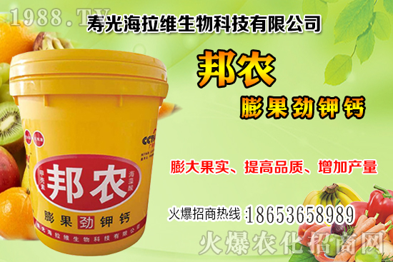 柑橘采收注意哪些事項？柑橘采收后如何進行果園管理？