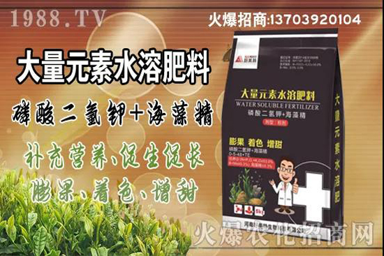 蔬菜旺長(zhǎng)有哪些危害？秋茬蔬菜控旺三要點(diǎn)！