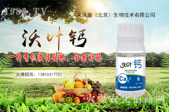 花生還會再漲嗎？2020年10月20日花生價格行情