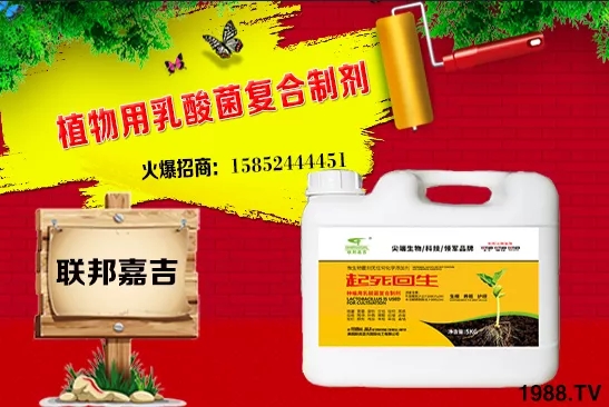 ���[���L�l������Щ�����[������c���＾������