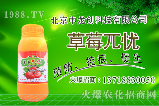 果樹下適合種植什么中藥材？果園里能套種哪些中藥材？