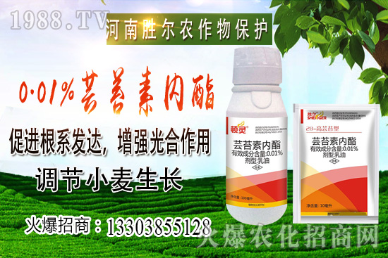 С���r(ji��)���ϝq��(ji��)����u�d�𣬺��п�����10��22��С���r(ji��)������