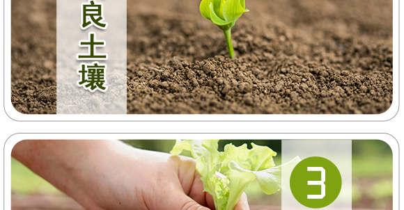 �����ЙC����Ԫ�ط�-��ʩ��_07