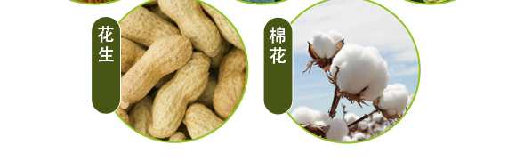 �����ЙC����Ԫ�ط�-��ʩ��_11