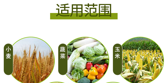 �����ЙC����Ԫ�ط�-��ʩ��_10