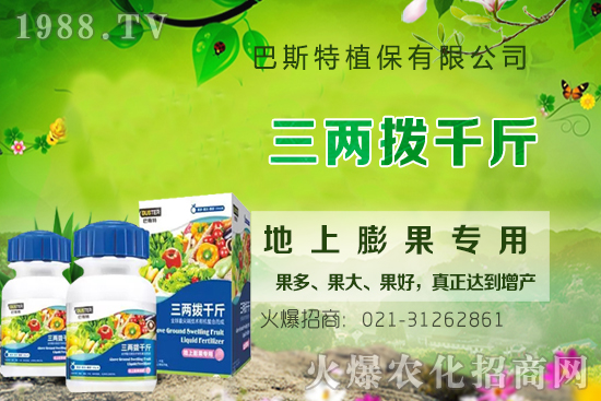 影響牛膝根系的生長(zhǎng)因素有哪些？牛膝生根壯苗用什么葉面肥？