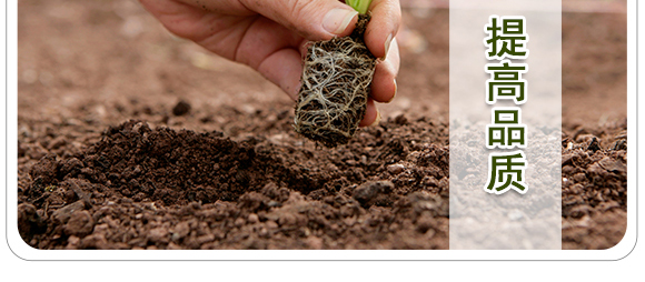 �����ЙC����Ԫ�ط�-��ʩ��_08