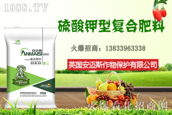 今日花生價格多少錢一斤？10月24日花生價格行情