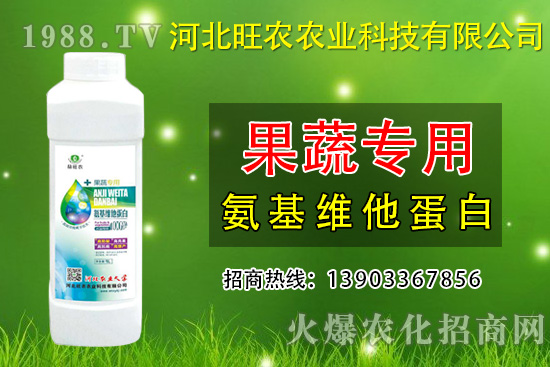 枇杷種植為什么會裂果呢？預(yù)防枇杷裂果措施有哪些？