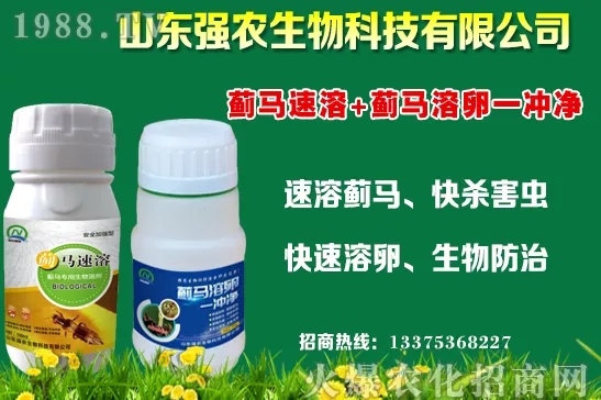 秋冬11月種植什么蔬菜比較合適？蔬菜種植注意事項(xiàng)！