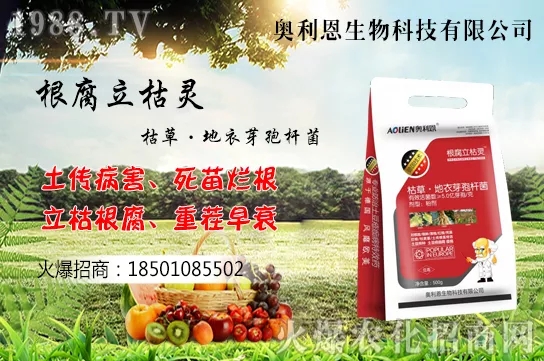 果樹栽培四大誤區(qū)有哪幾點？如何提高果樹栽植的成活率？