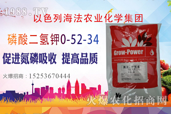 2020��10��28�����؃r��(w��n)�����������؃r�����