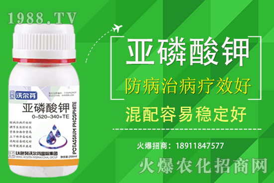 �������Ҫ��������ʲô������֮�g��ʲô�P(gu��n)ע��