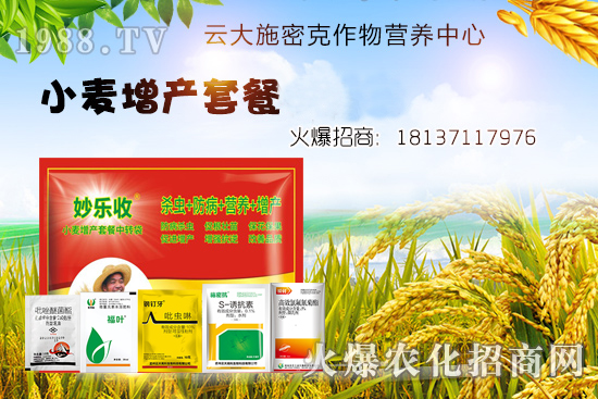 С�����N�󲻳��磿��ʲôԭ����ɵ���