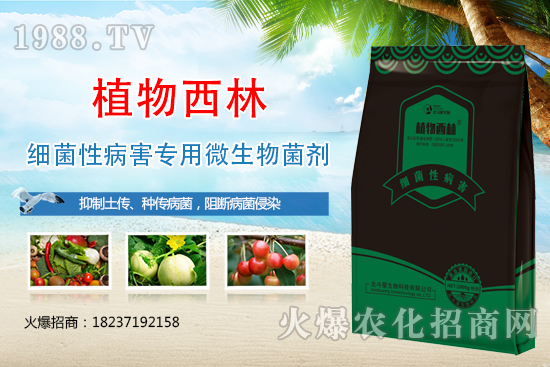 ����̿�Ҳ��Y����ʲô������̿�Ҳ��l(f��)��ԭ�򼰷���