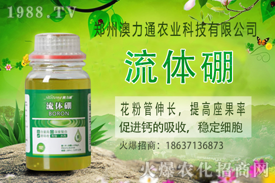 ⛷ʃr����m(x��)���q��2020-10-30����(n��i)⛷ʃr���rһ�[