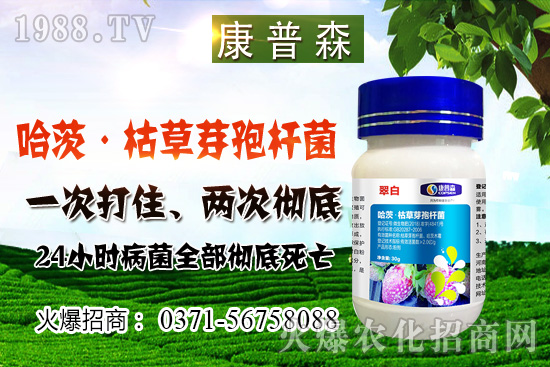 С���r(ji��)��ֹ���ط�(w��n)��С���r(ji��)���ܝq������