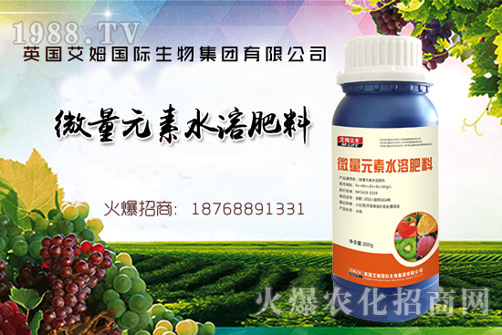 鐵、鋅、硼缺失癥狀，怎么補充作物所需元素？