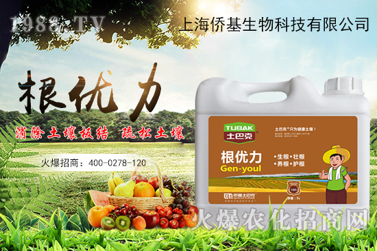 作物生根用什么肥？生根肥選擇有哪些？