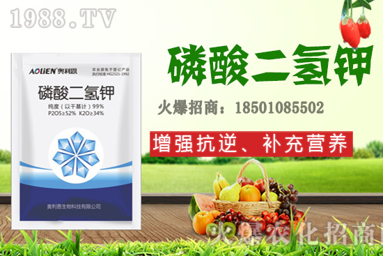 ����ʩ�D�ʺ�̎����Щ����Щ����Ҫʩ���D��ԓ��ôʩ��