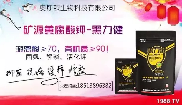 ����ʲô�r�g���N��ע�����(xi��ng)����Щ�����ش���Nֲ�r�g����