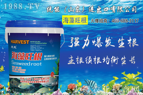 С���r(ji��)��󷶇��ϝq���A(y��)Ӌ(j��)С���r(ji��)��ͻ��1.25Ԫ/��