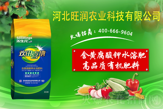 ���@����Ĥ��ô�Ч���������@䁷���Ĥ��Ҫ�c��