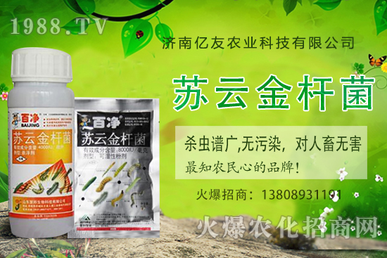 �S�ҷNֲ��(y��ng)ԓע����Щ��헣��S�ҷNֲ�r�g�����g������