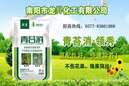 �󶹹�����(y��ng)�󣬃r(ji��)����m(x��)�ϝq�����ش󶹃r(ji��)������