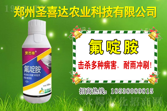 �������N��������Щ���������Ժ�ʲô�����׷N��