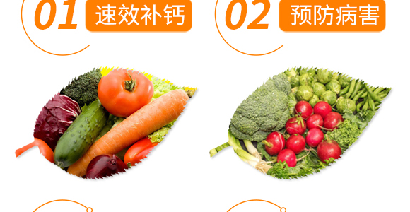 ����Ӣ���~��(r��n)�r(n��ng)�I(y��)�Ƽ����޹�˾_06