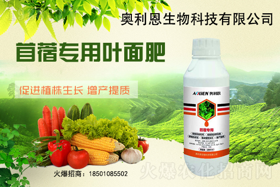 苜蓿越冬肥怎么施？苜蓿的施肥管理