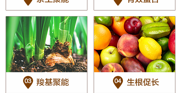 �H��͸���-��֮��_05