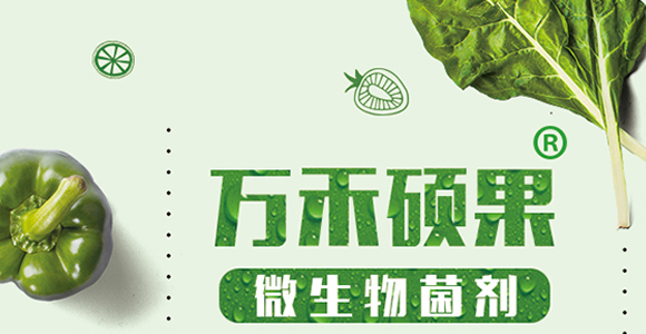 顆粒硼-雷效-嘉田農(nóng)業(yè)_01