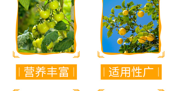 �����������a��-������-��٤�z_06