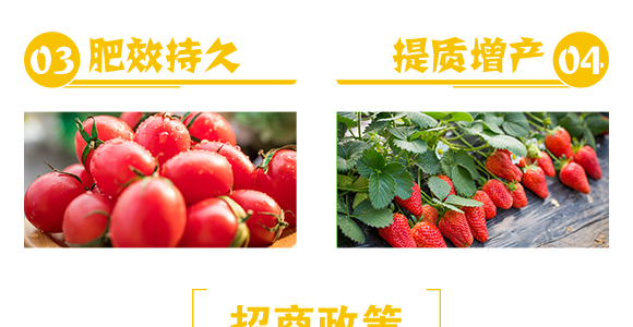 顆粒硼-雷效-嘉田農(nóng)業(yè)_06