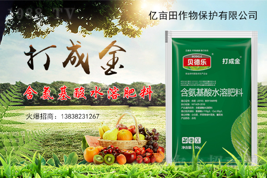 種植草莓不甜是什么原因？如何促進(jìn)草莓增甜？