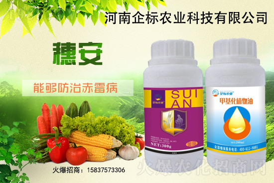 小麥赤霉病危害特點，防治小麥赤霉病用什么藥？