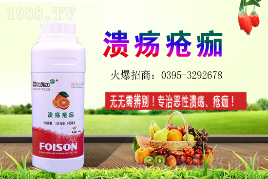 2021��ʯ��Nֲ���������ʯ�������ǰ����ô�ӣ�