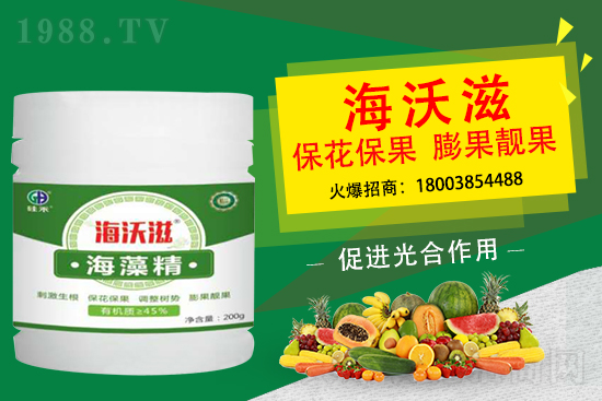 造成草莓果小是什么因素？怎么促進(jìn)草莓膨果呢？