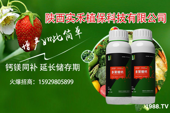 西紅柿卷葉是什么原因，西紅柿卷葉防治措施有哪些？