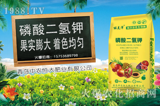 今日小麥價(jià)格上漲，后期是否會(huì)持續(xù)上漲？