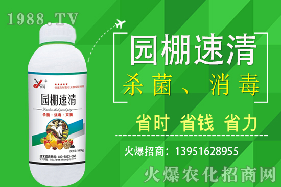 2020��11��5�վֲ������r������