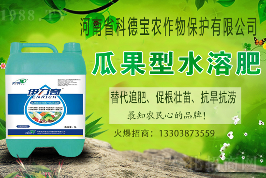 �����M��Ě��ʲô�r(sh��)�����������������x�M��Ě�ȣ�