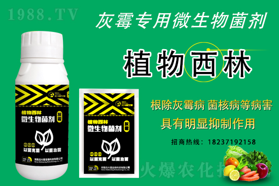 ��ù�������ε�ԭ������ô������Ч���ã�