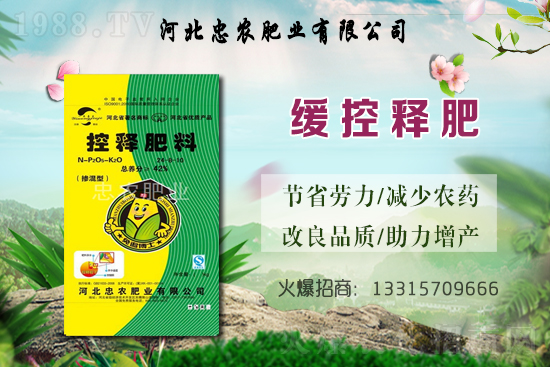 大蒜的產(chǎn)地在哪？種一畝地大蒜要用多少蒜種？畝產(chǎn)量是多少斤？