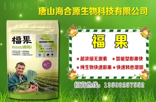 目前小麥?zhǔn)召?gòu)多少錢一斤？小麥價(jià)格行情如何？